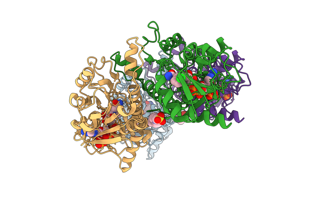 3KBO image