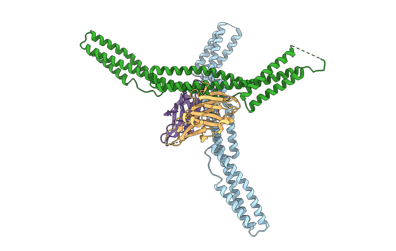 3KBT image