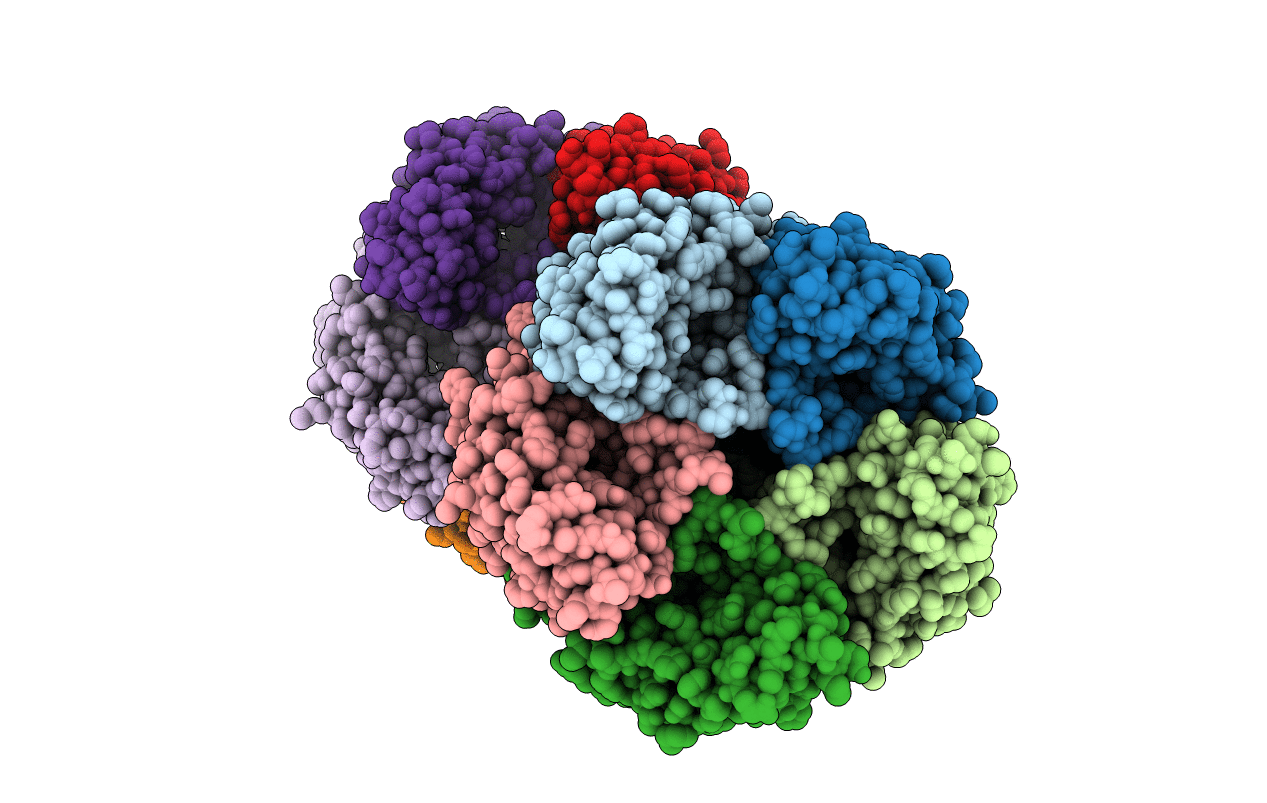 3KCV image