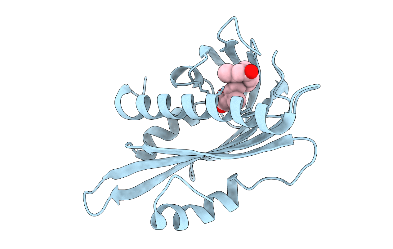 3KDI image