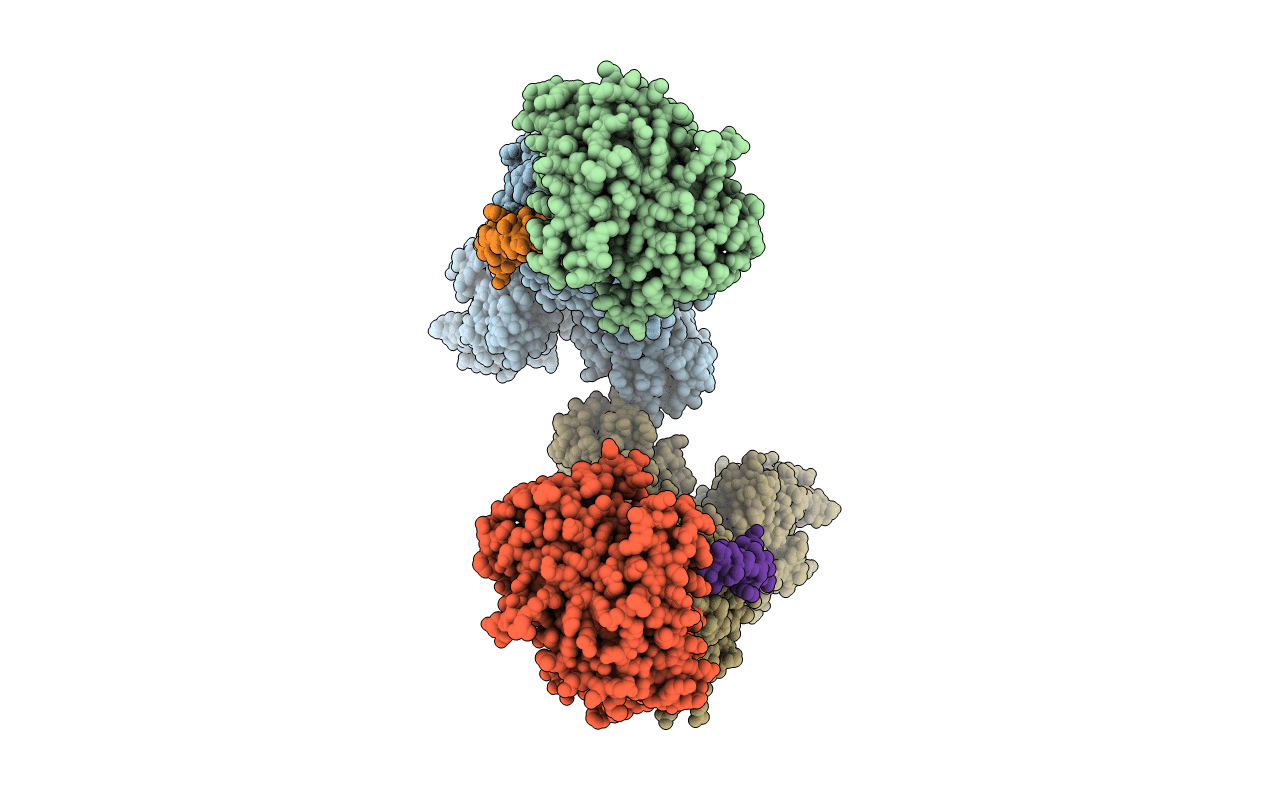 3KDP image