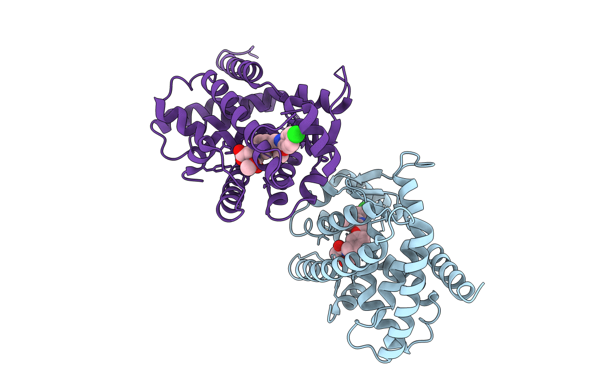 3KDT image
