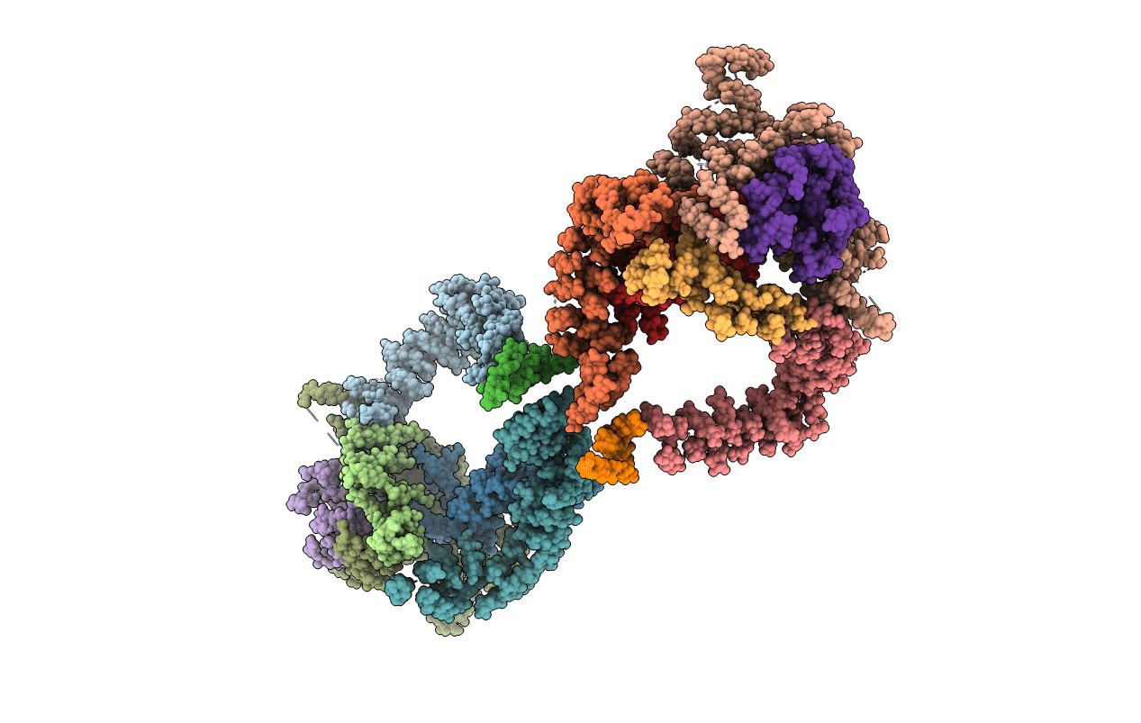 3KGV image