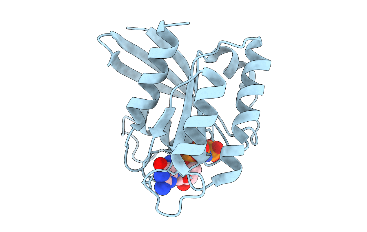 3KKN image