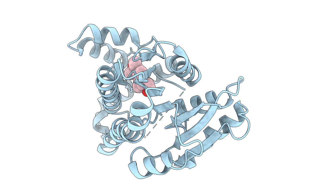 3KLP image