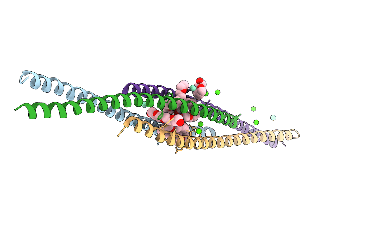 3KLT image