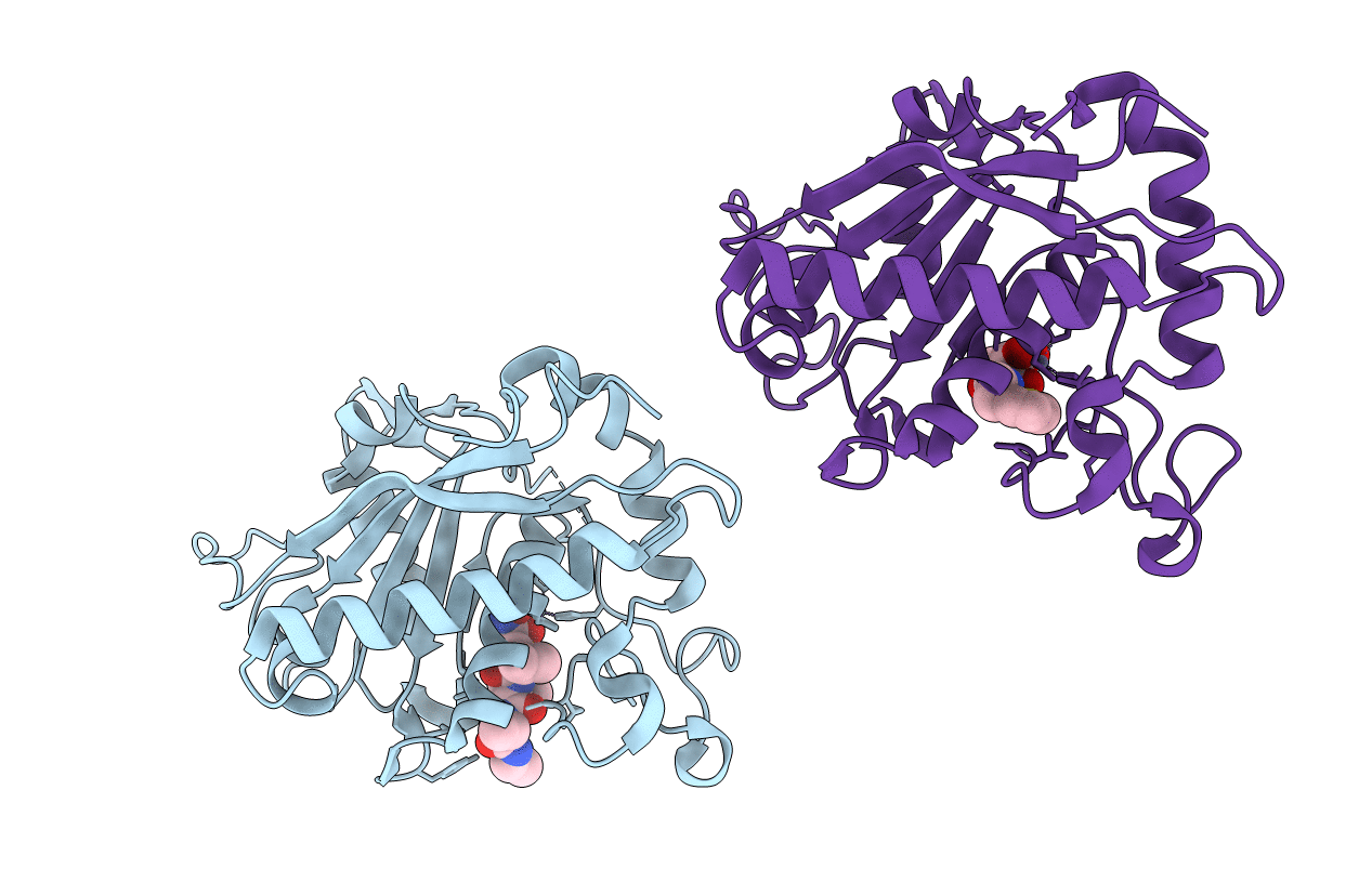 3KMC image