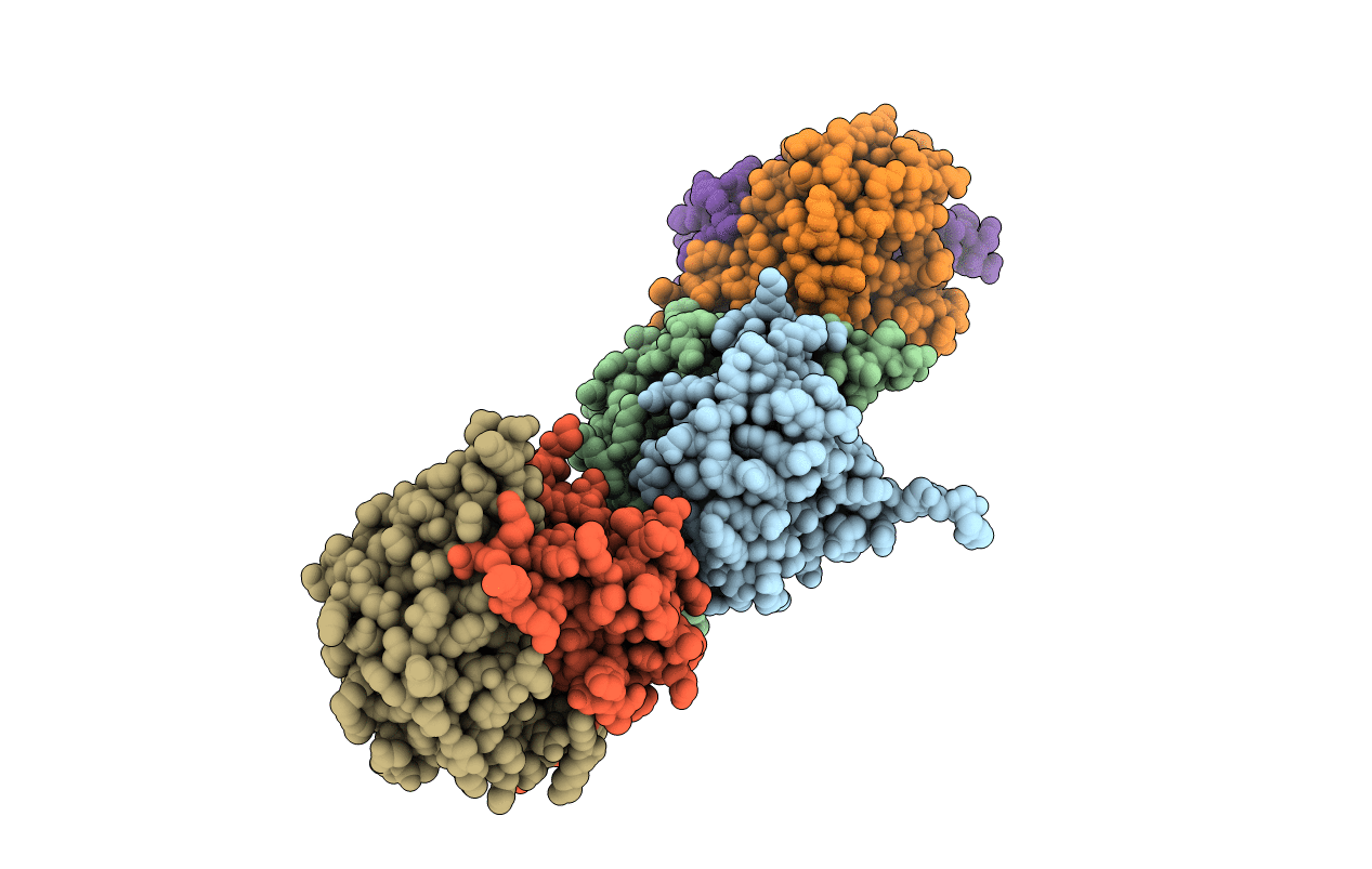 3KNP image