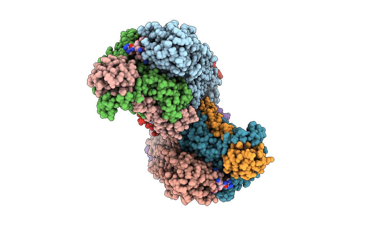 3KP1 image
