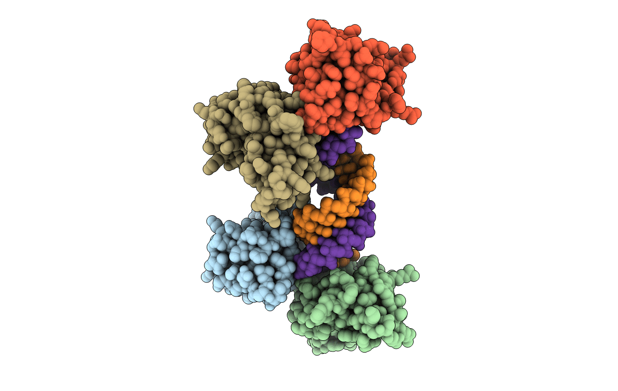 3KS8 image