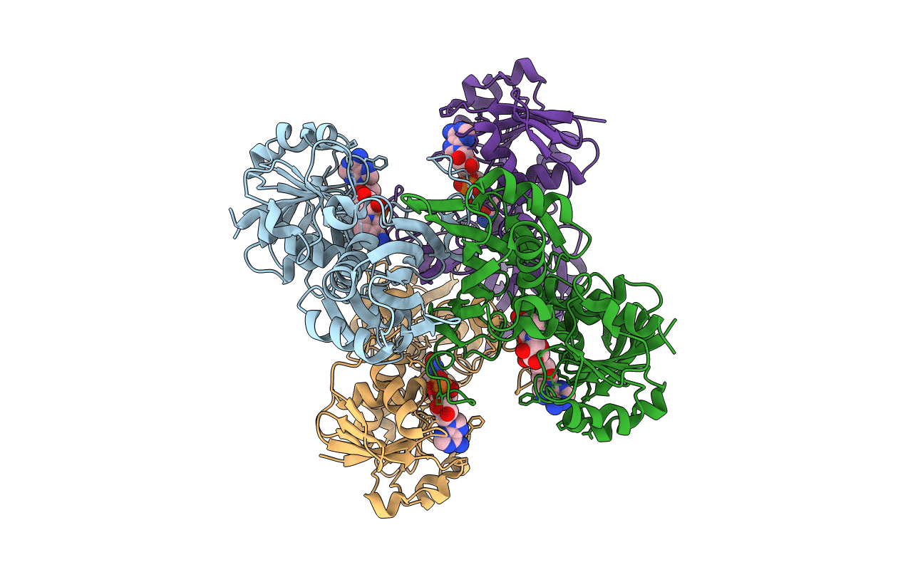 3KSD image