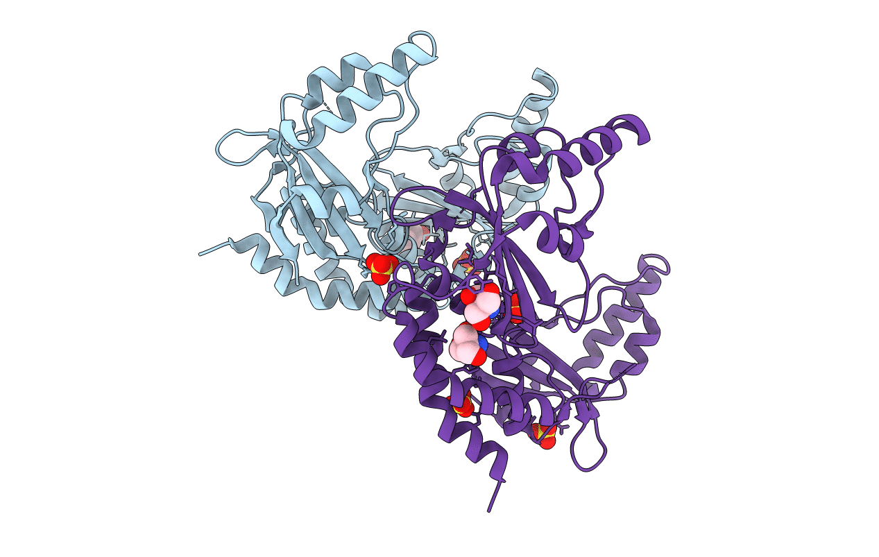3KSK image