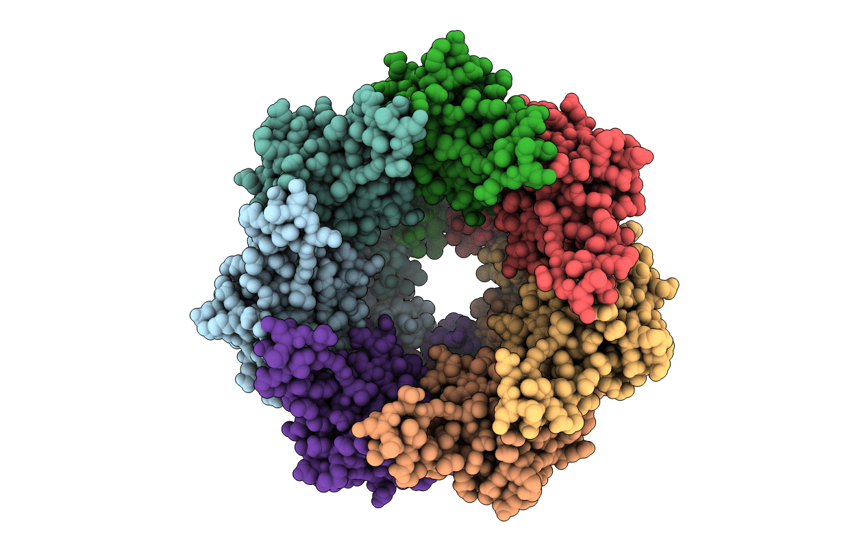 3KTG image