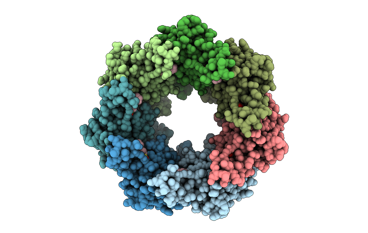 3KTJ image