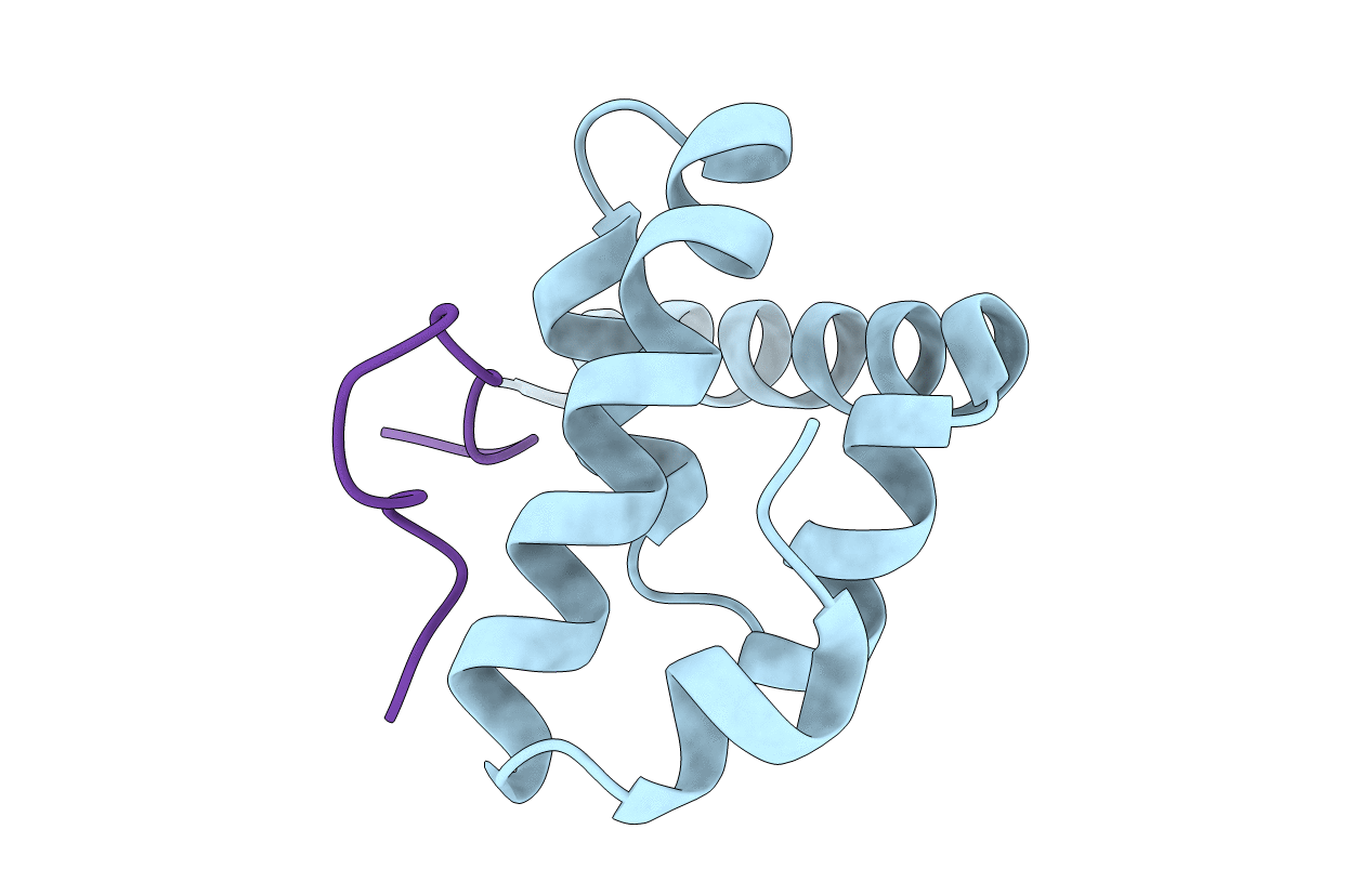 3KTP image