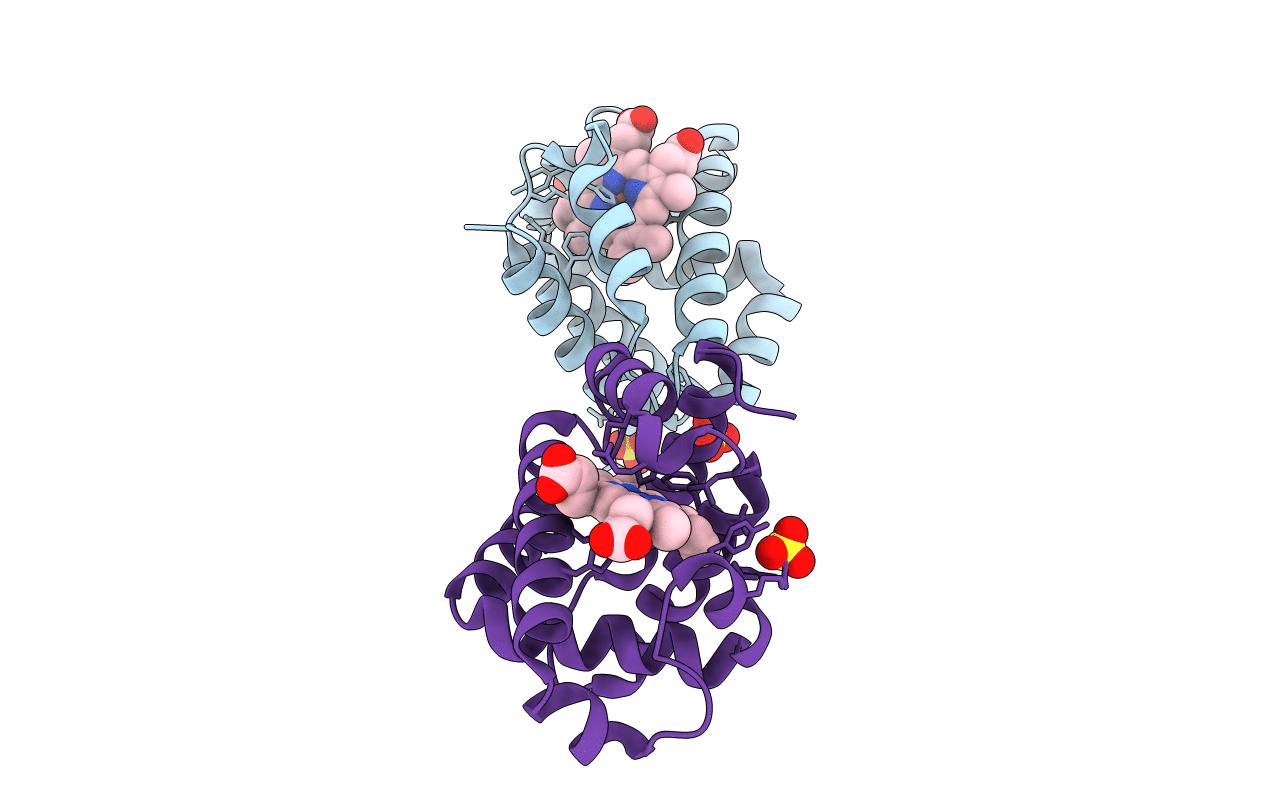 3KUO image