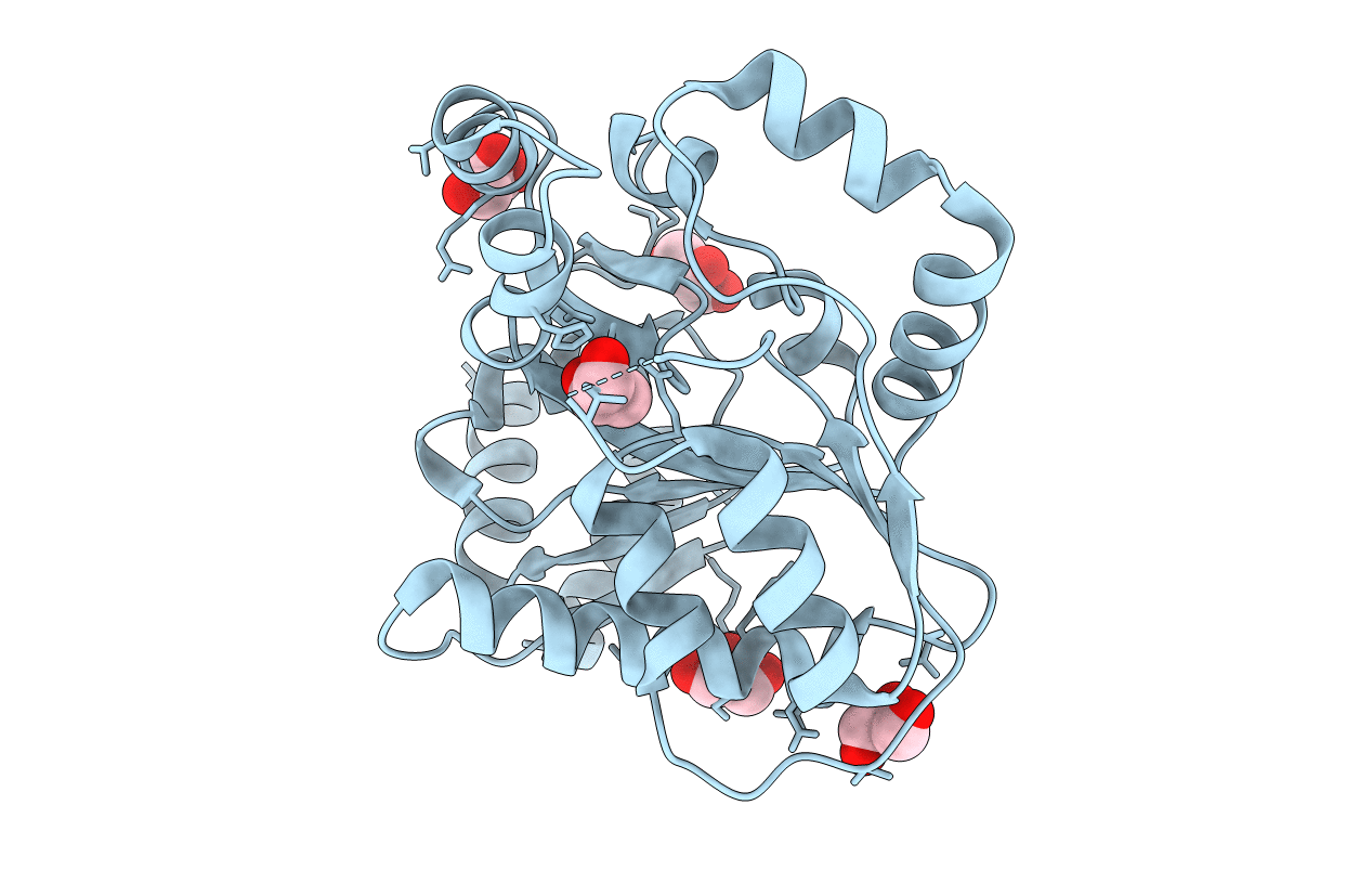 3KV1 image