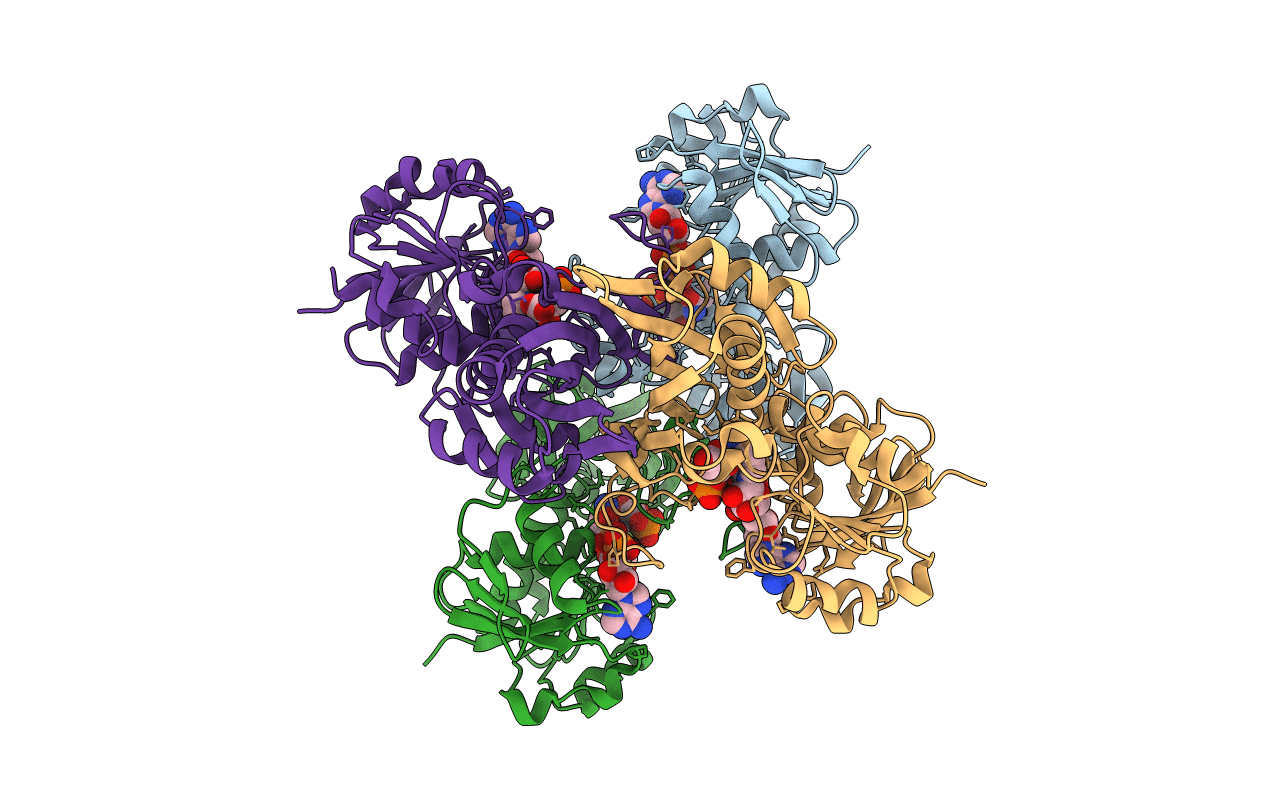 3KV3 image