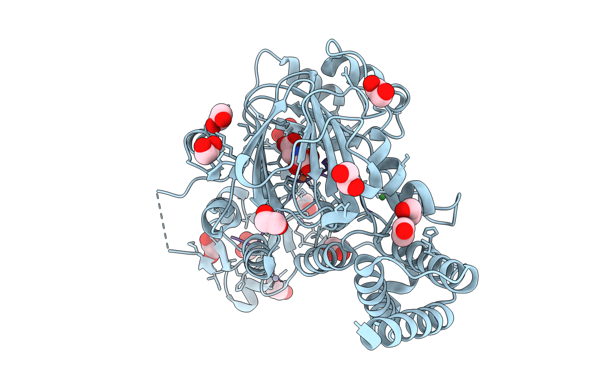 3KV4 image