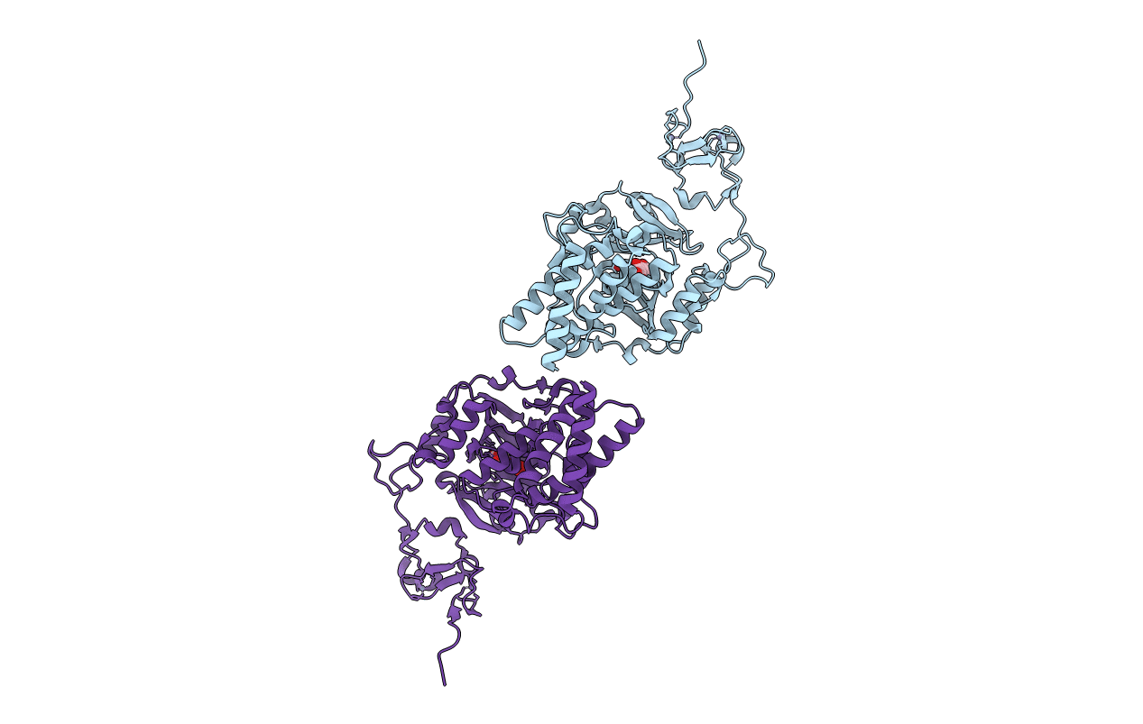 3KV6 image