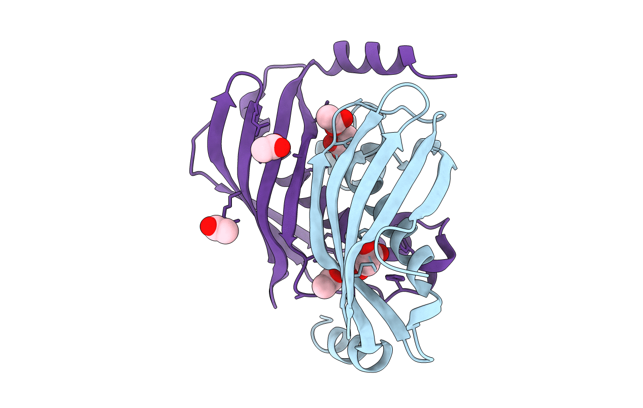 3KV7 image