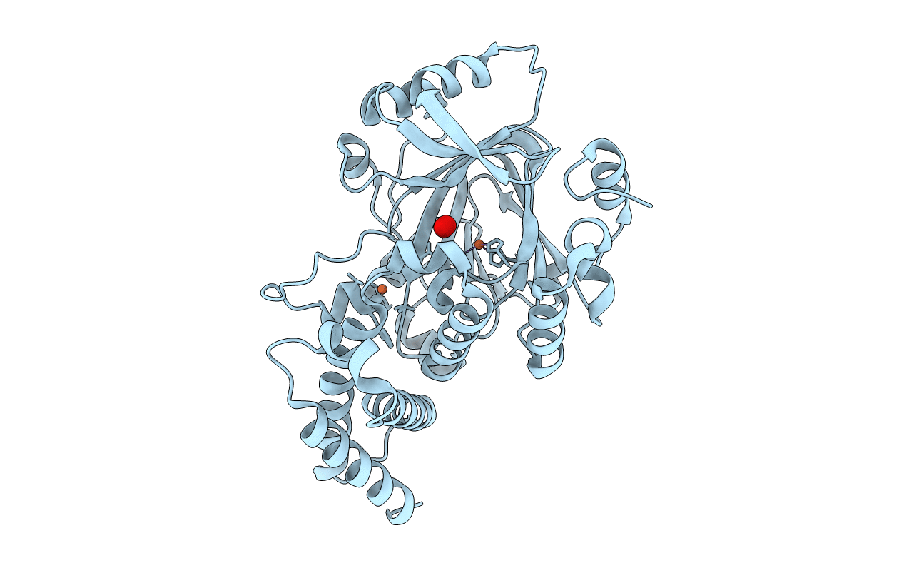 3KV9 image