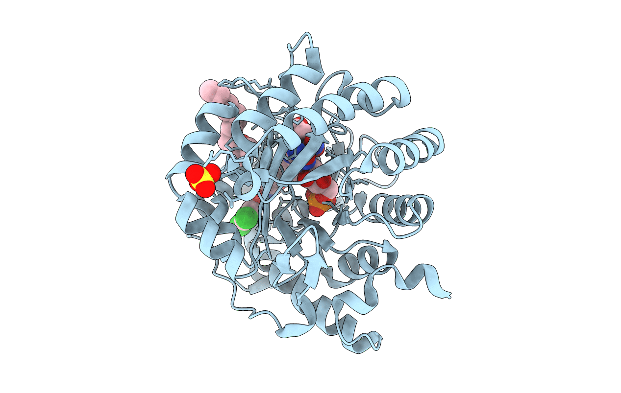 3KVK image