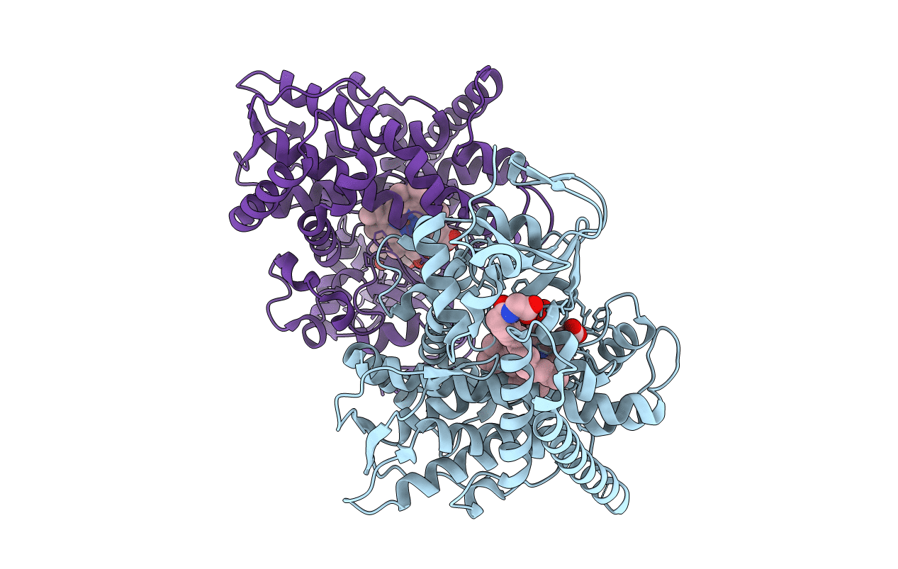 3KX3 image