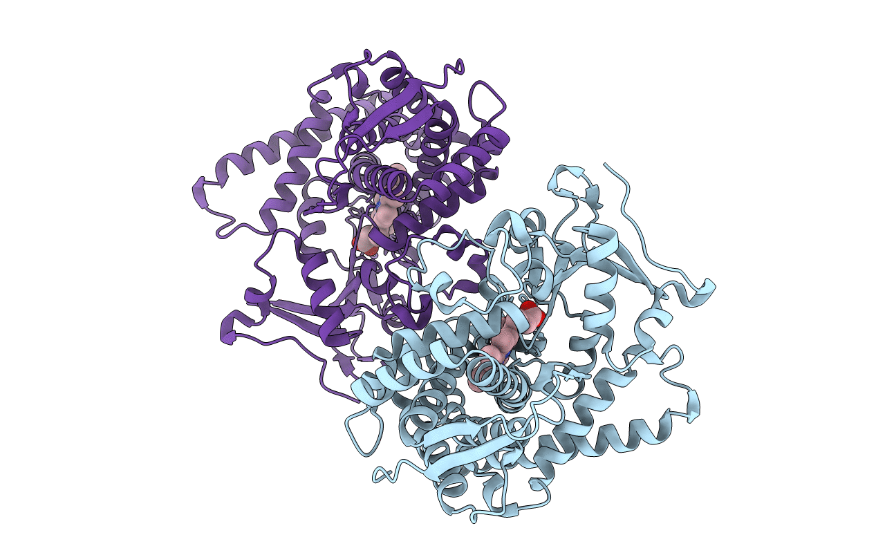3KX4 image
