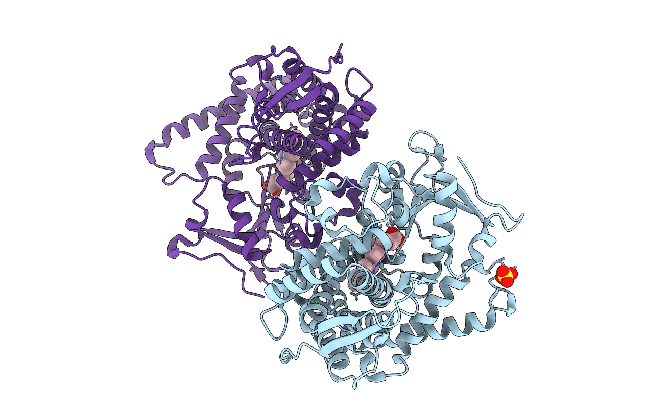 3KX5 image