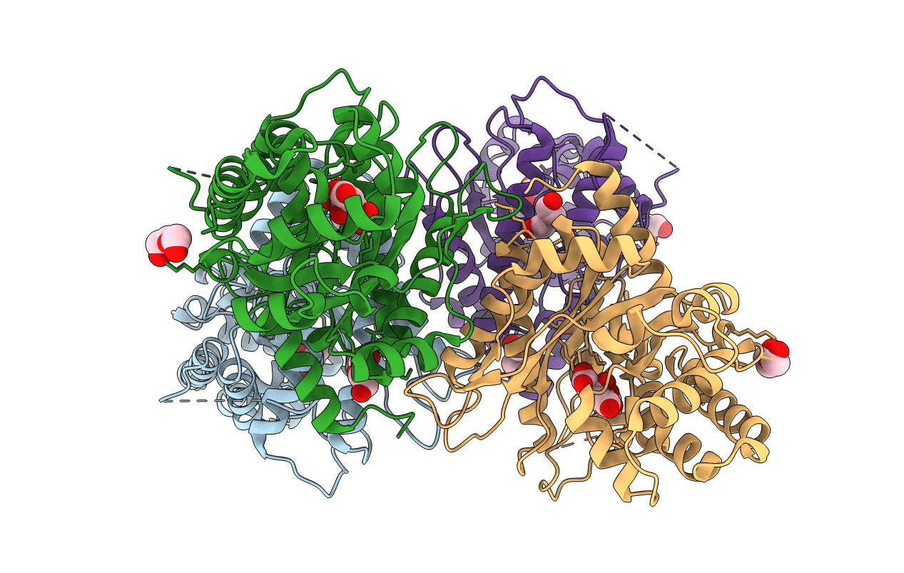 3KX6 image