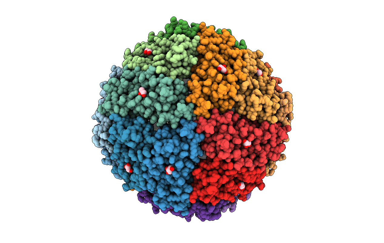 3KX9 image