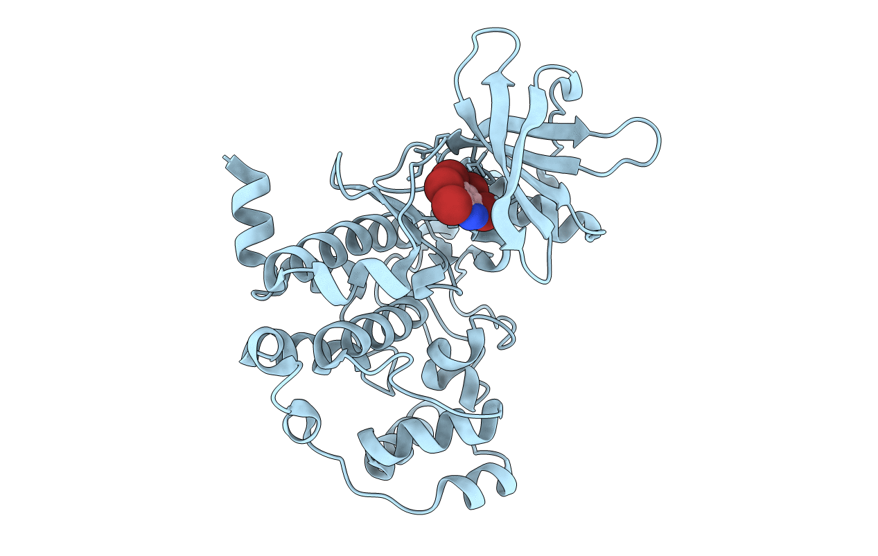 3KXG image