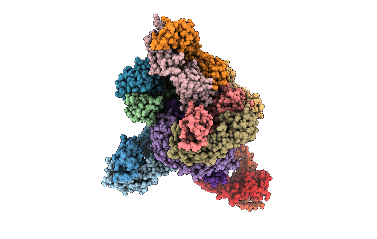 3KYM image