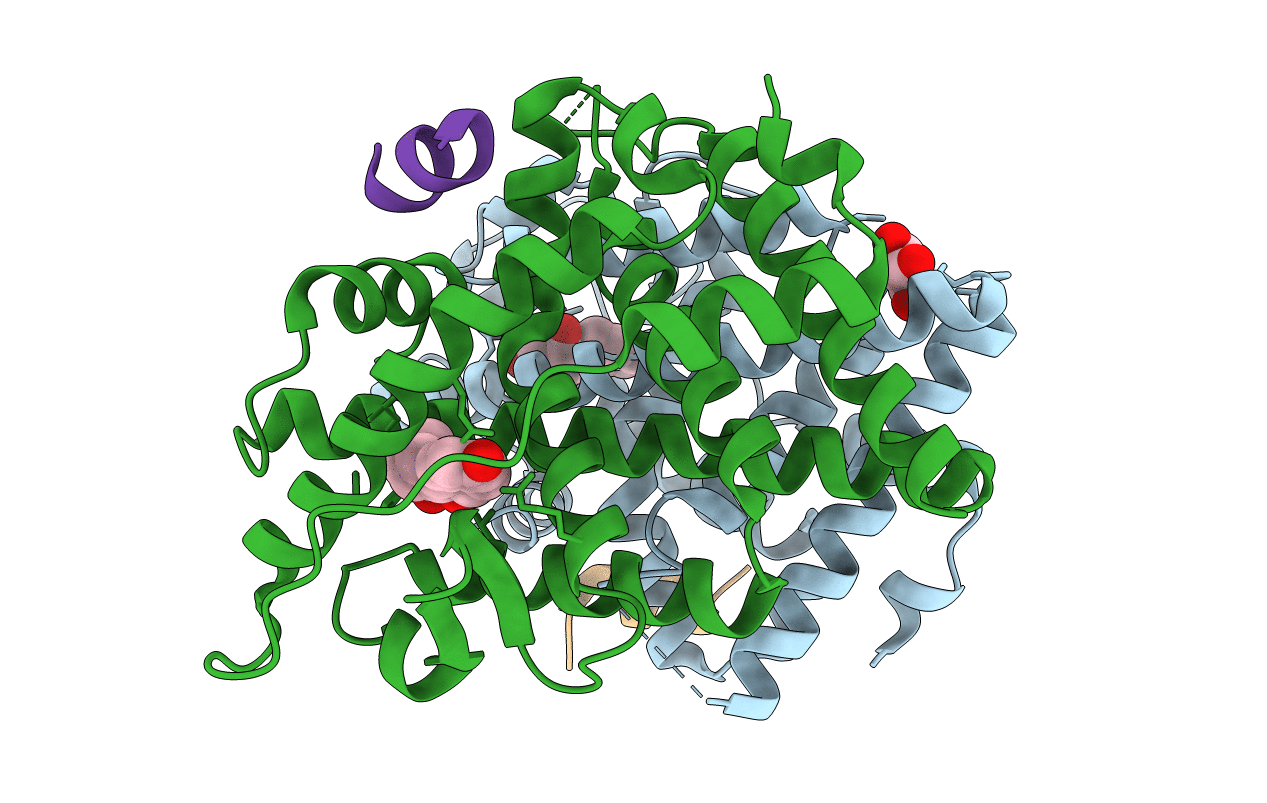 3L03 image