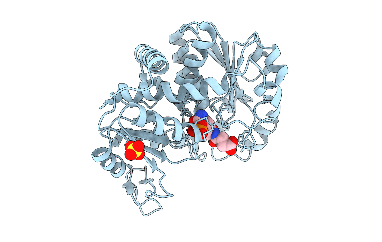 3L04 image