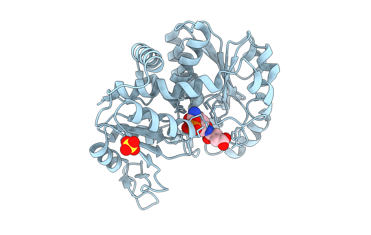 3L05 image