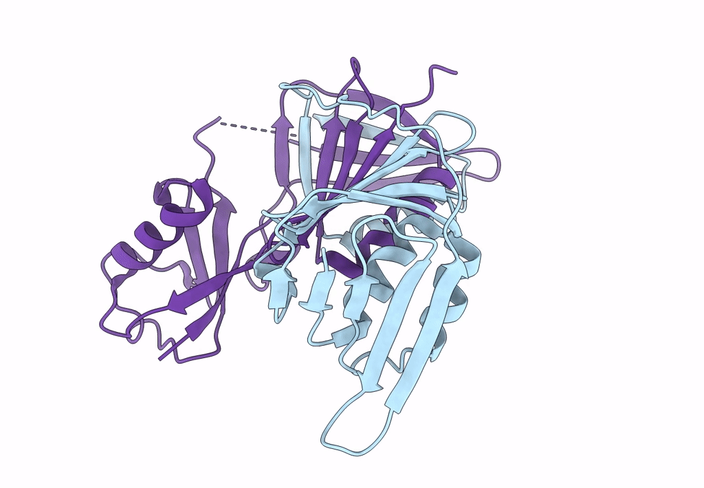 3L10 image