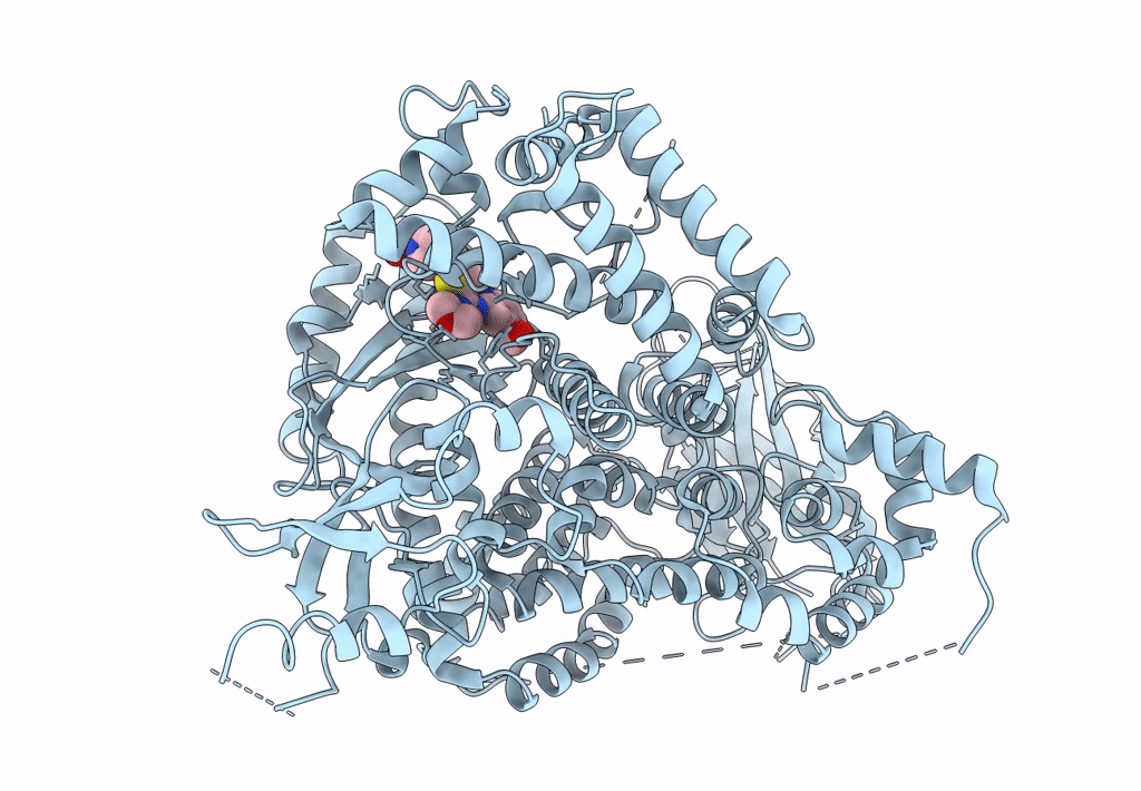 3L13 image