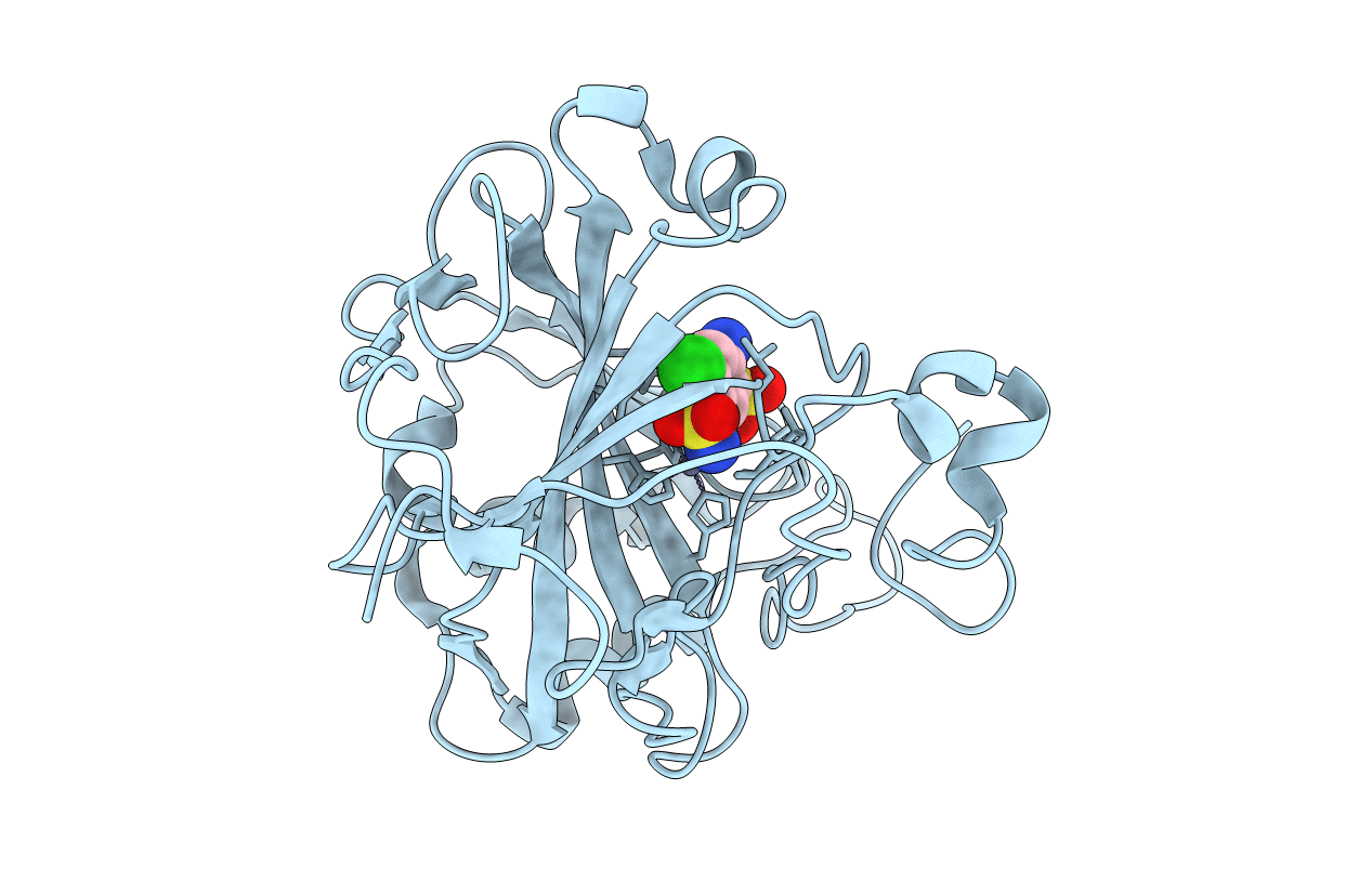 3L14 image