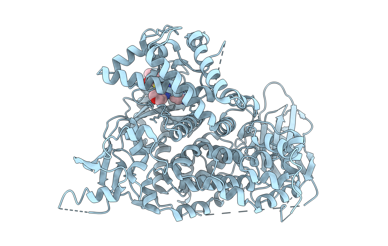3L16 image