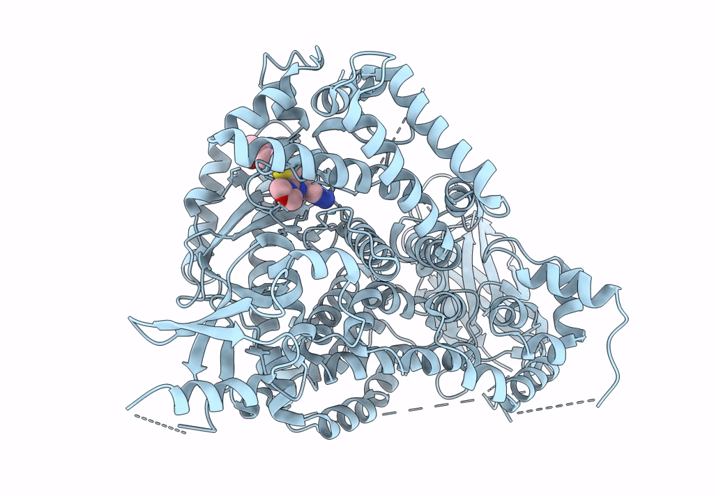 3L17 image