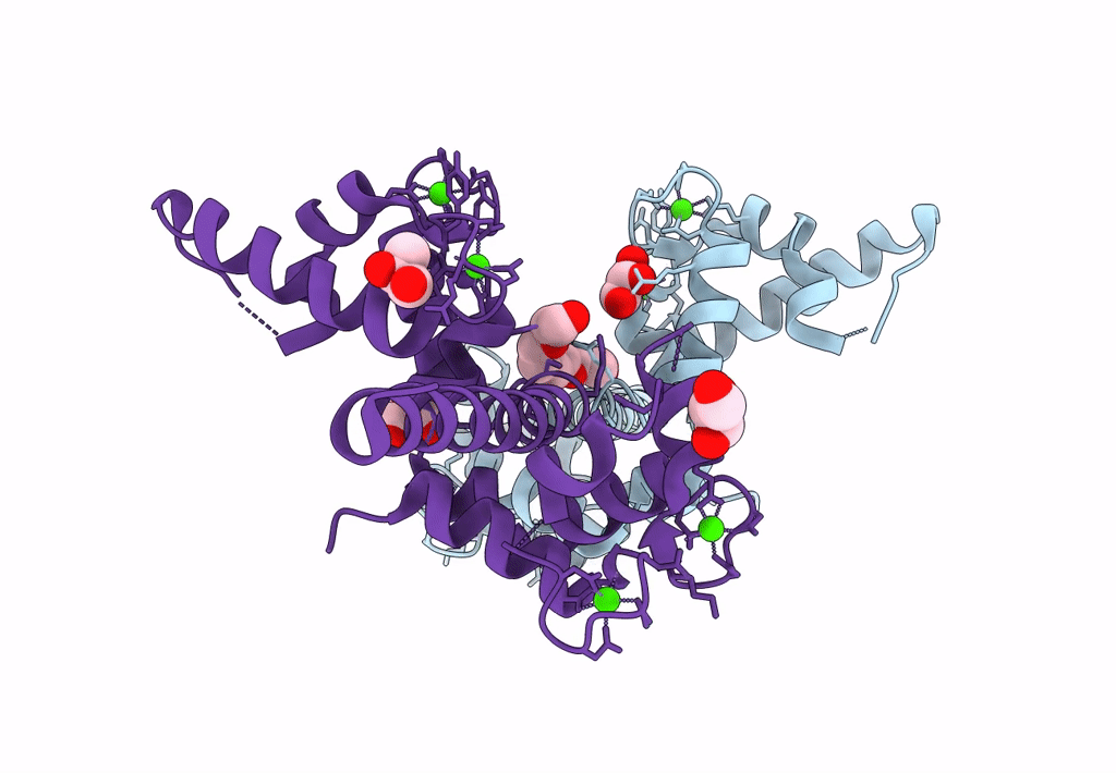 3L19 image