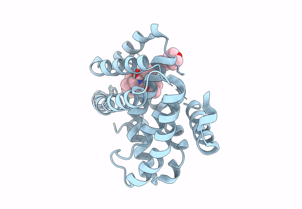 3L1B image