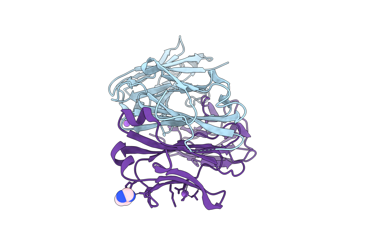 3L1O image