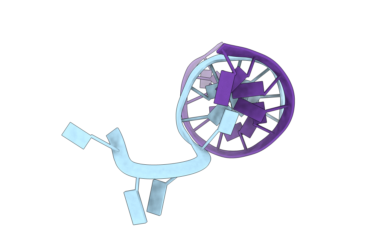 3L1Q image