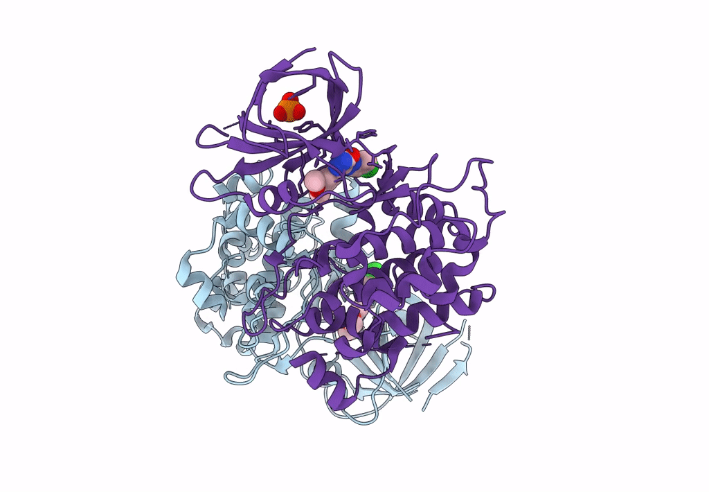 3L1S image
