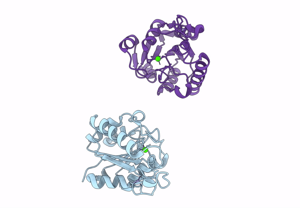 3L1U image