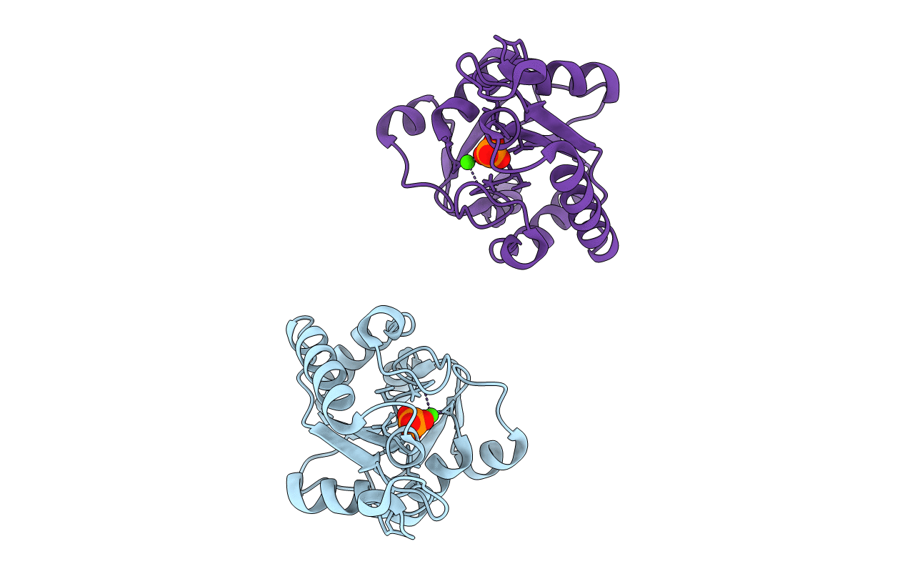 3L1V image