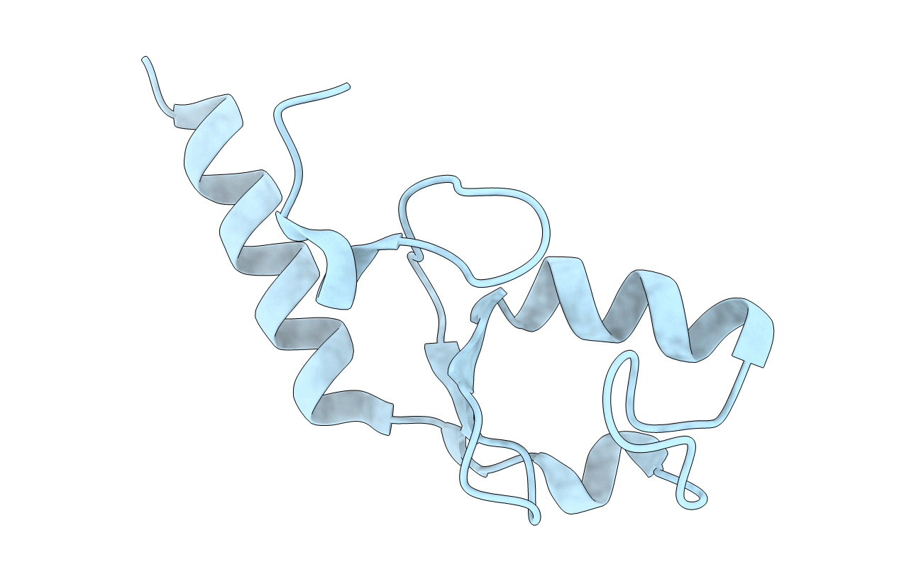 3L1X image